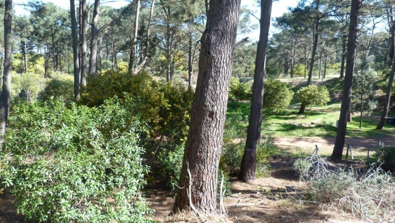 Terreno en una zona muy linda del Club del Lago con 1343 m2